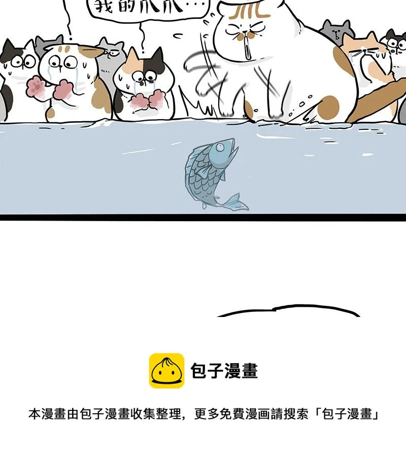 吾皇巴扎黑漫画,第320话 猫孵鱼5图