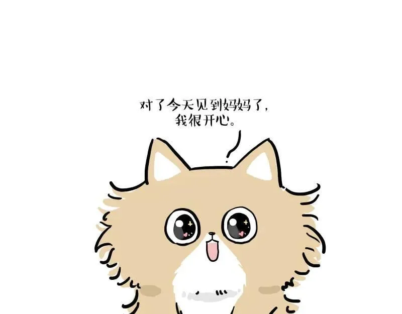 第424话 话痨小猫1