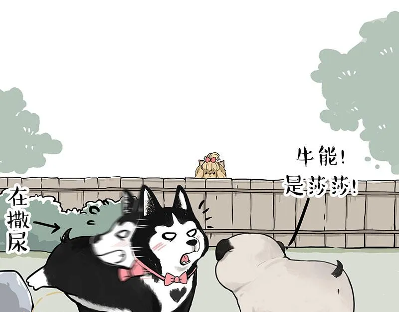 吾皇巴扎黑漫画全集免费观看漫画,第327话 TA眼中的你2图