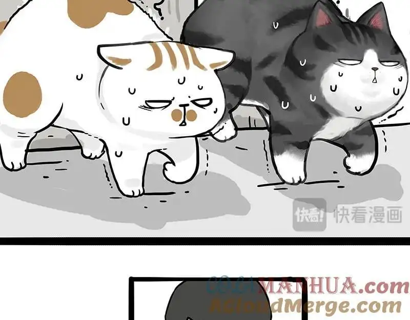 吾皇巴扎黑漫画,第400话 你是好人5图