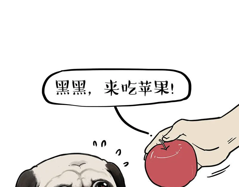 吾皇巴扎黑盲盒隐藏款漫画,第394话 养狗指南1图