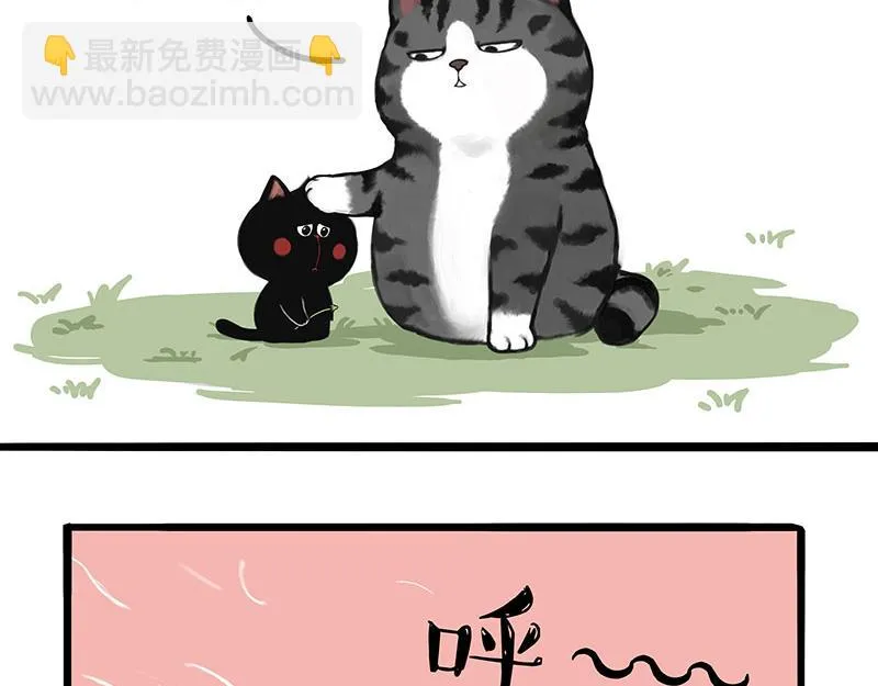 吾皇巴扎黑经典语录漫画,第375话 偶遇恶犬3图