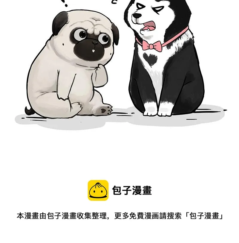 吾皇巴扎黑经典语录漫画,第306话 不辛苦，命苦5图