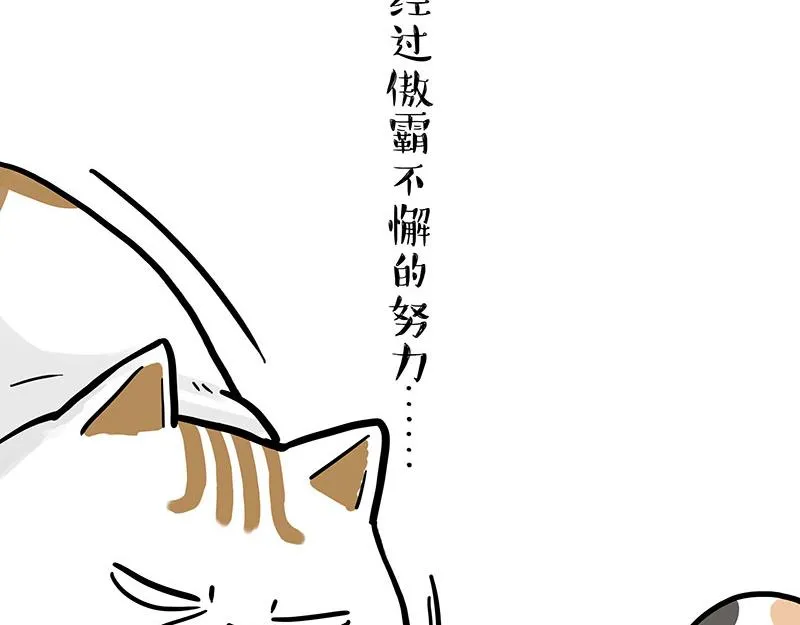 吾皇巴扎黑环游世界盲盒漫画,第320话 猫孵鱼5图