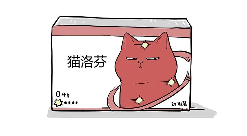 吾皇巴扎黑漫画,第359话 猫洛芬2图