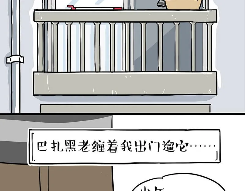 吾皇巴扎黑漫画,第305话 白表白了2图