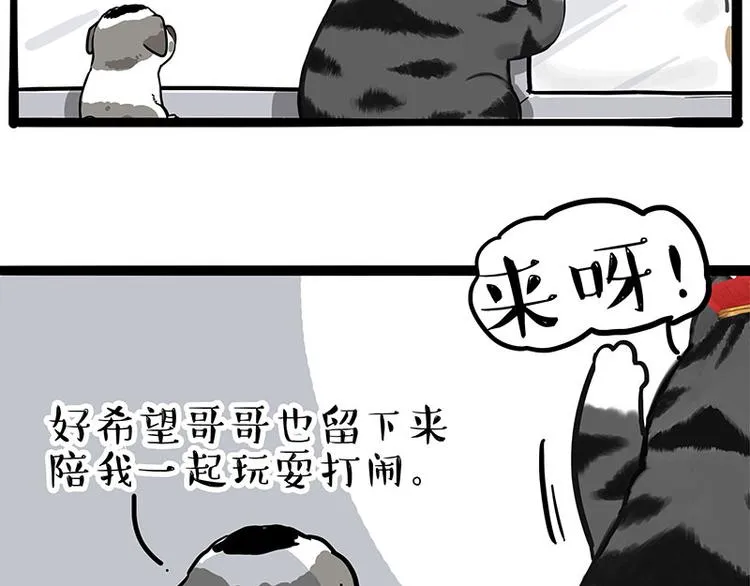 吾皇巴扎黑图片漫画,第269话 跟我回家吧2图