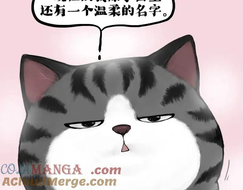 吾皇巴扎黑动漫全集漫画,第409话 吾皇改名了？5图