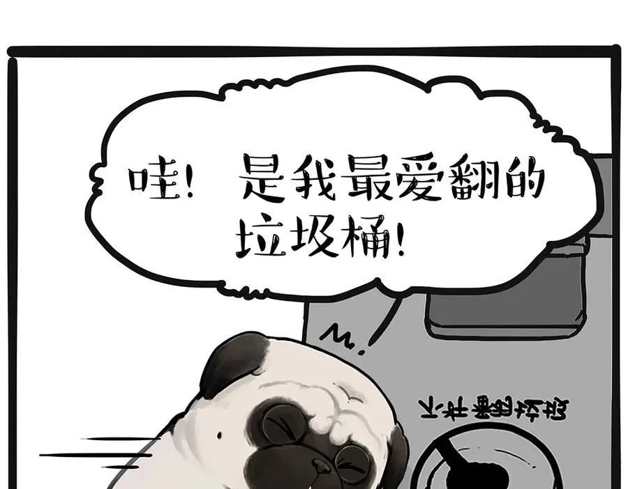 吾皇猫漫画,第449话 11113图