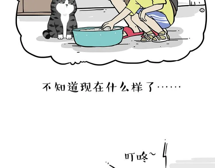 吾皇巴扎黑漫画,第255话 小学生的胜利5图