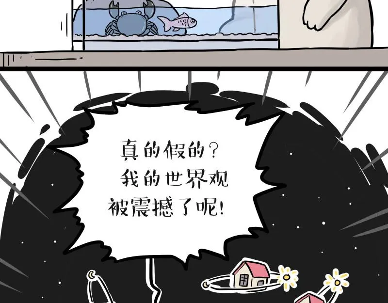 吾皇巴扎黑漫画全集免费观看漫画,第298话 龟与狗与世界1图