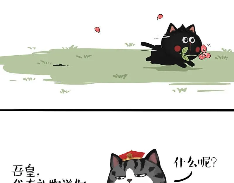 吾皇巴扎黑漫画,第311话 抓不住！2图