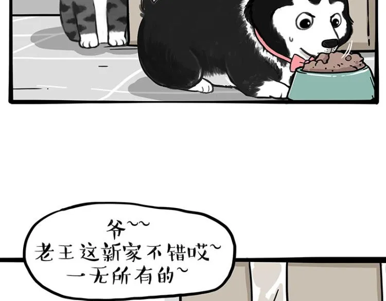 吾皇巴扎黑漫画,第288话 冒牌货，拿来吧你！5图