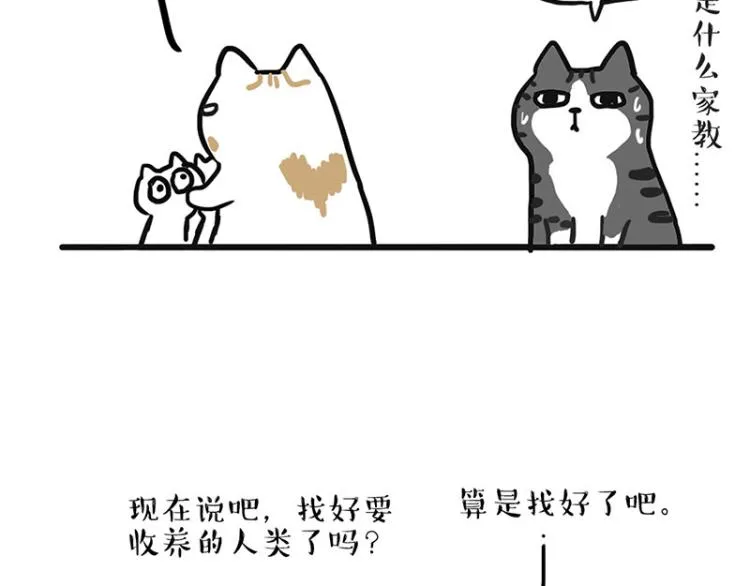 吾皇巴扎黑音乐盲盒漫画,第291话 好兄弟，一辈子5图