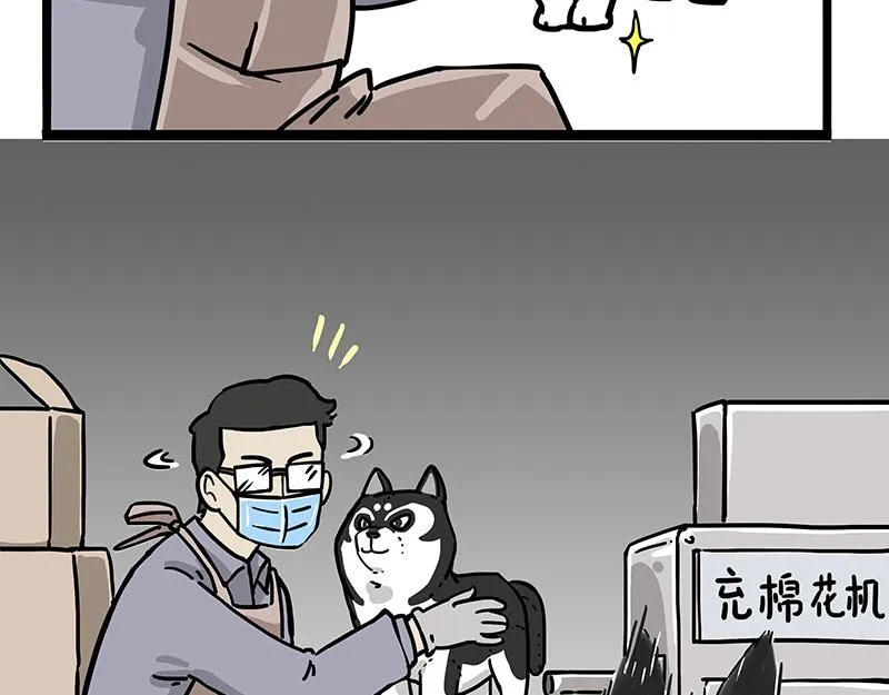 吾皇巴扎黑全集漫画,第304话 你是真的狗5图