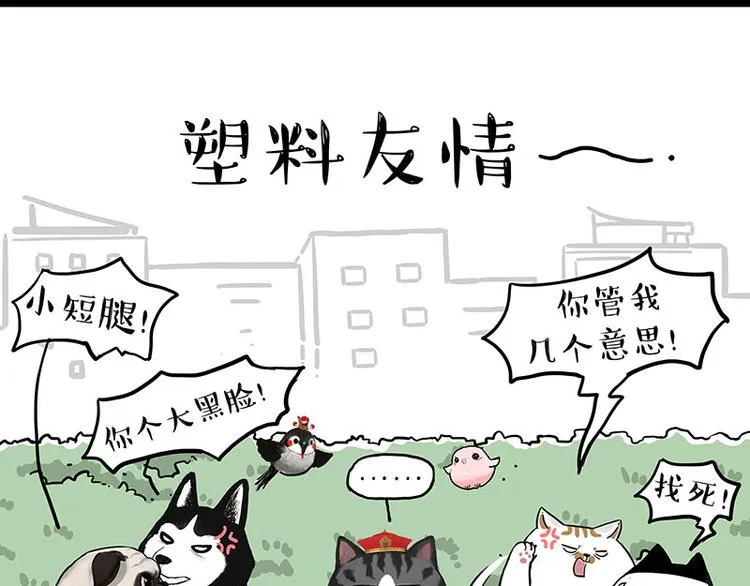 吾皇巴扎黑图片漫画,第269话 跟我回家吧3图