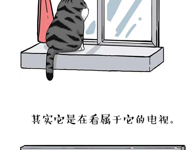 吾皇巴扎黑人物介绍漫画,第260话 孤独解药3图