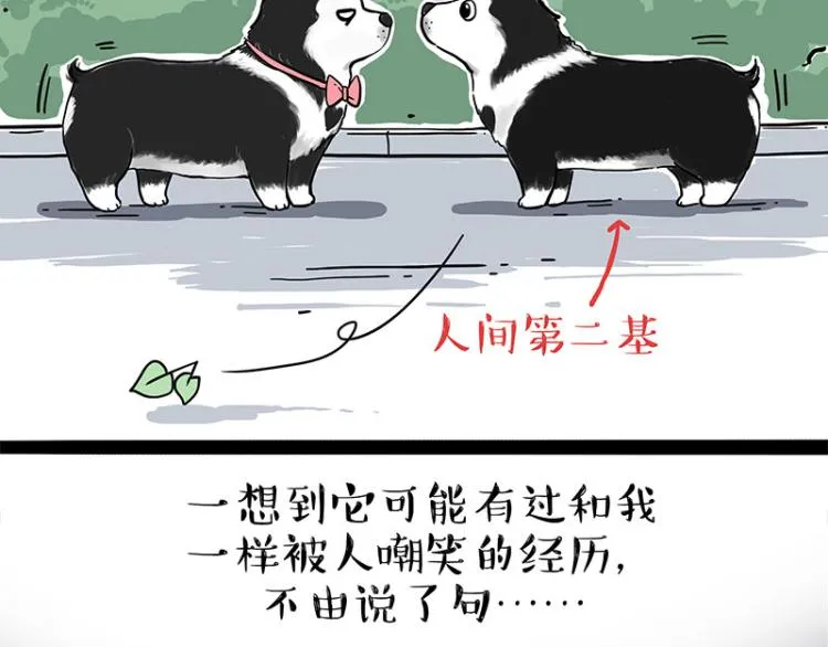 吾皇巴扎黑漫画,第287话 真假牛能？！5图