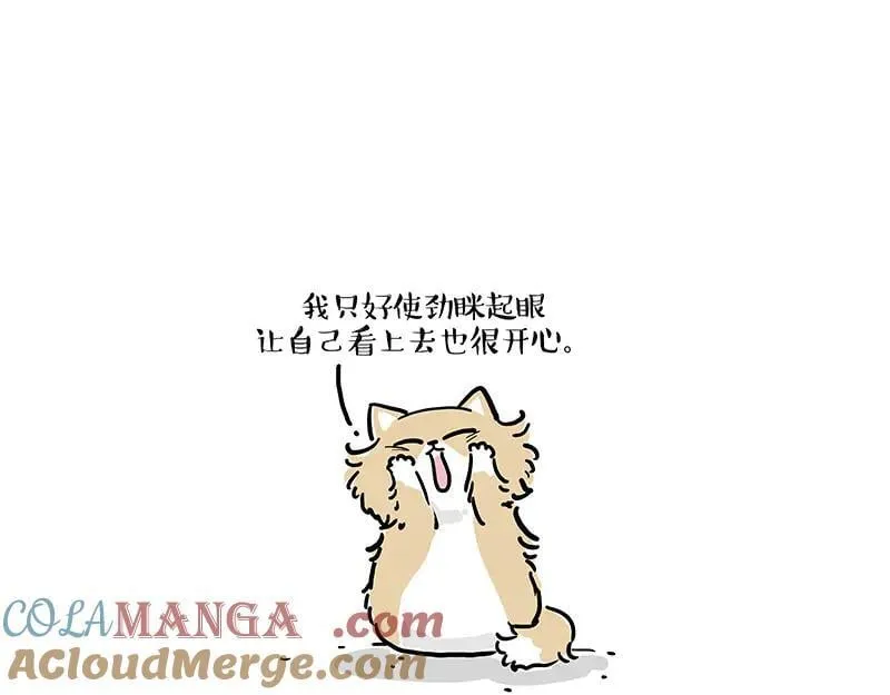 第424话 话痨小猫3