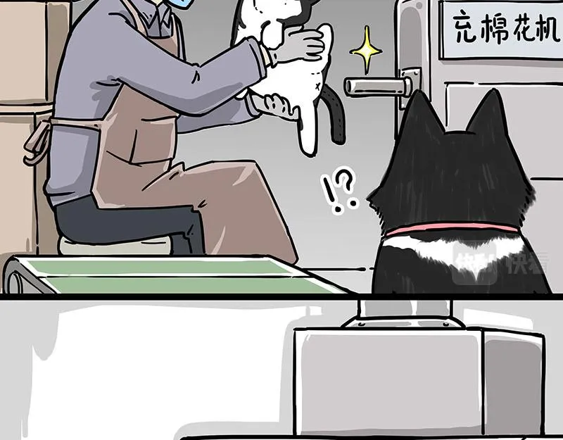 吾皇巴扎黑漫画,第304话 你是真的狗5图