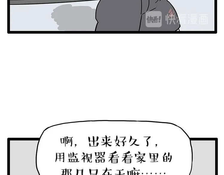 吾皇巴扎黑漫画,第254话 摔角大赛谁与争锋3图