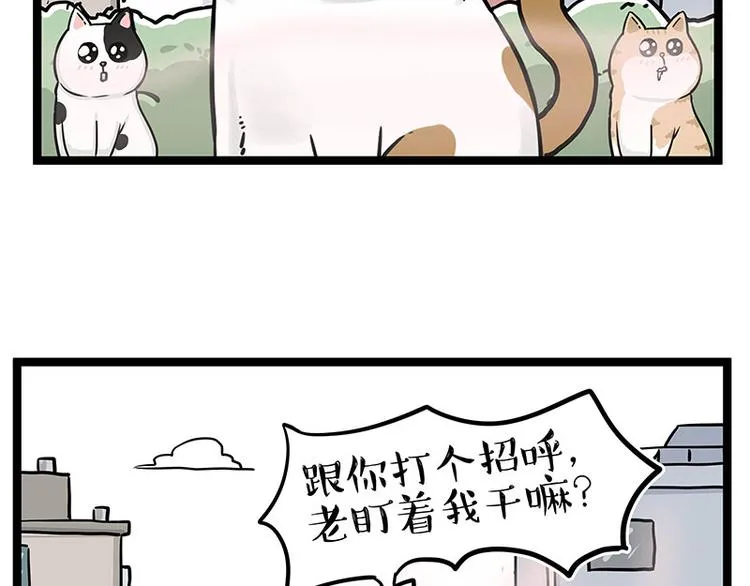 吾皇巴扎黑壁纸漫画,第284话 美喵竟是我自己1图