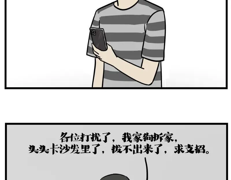 吾皇巴扎黑漫画,第423话 卡沙不拦卡4图