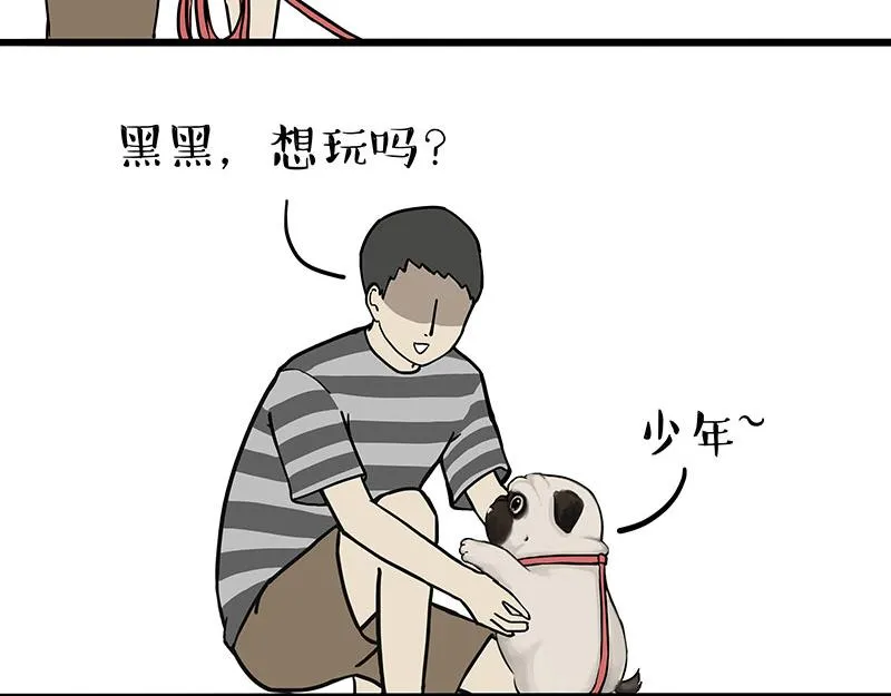 吾皇巴扎黑盲盒隐藏款漫画,第309话 不妙小喵招3图