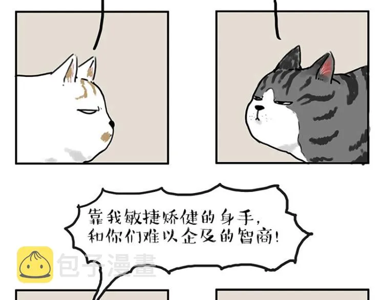 吾皇巴扎黑音乐盲盒漫画,第291话 好兄弟，一辈子3图