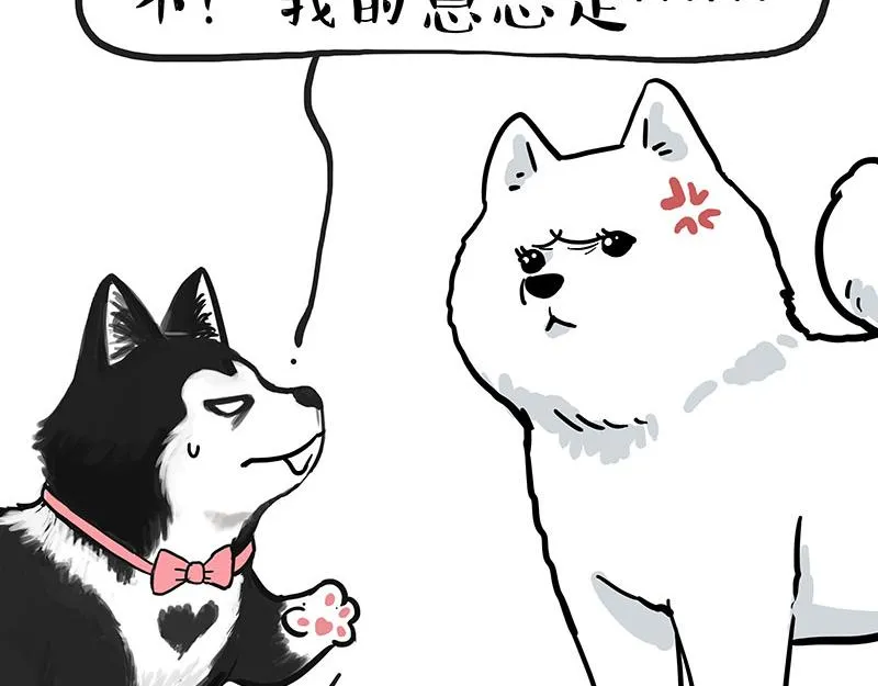 吾皇巴扎黑漫画书漫画,第349话 养只猫吧1图