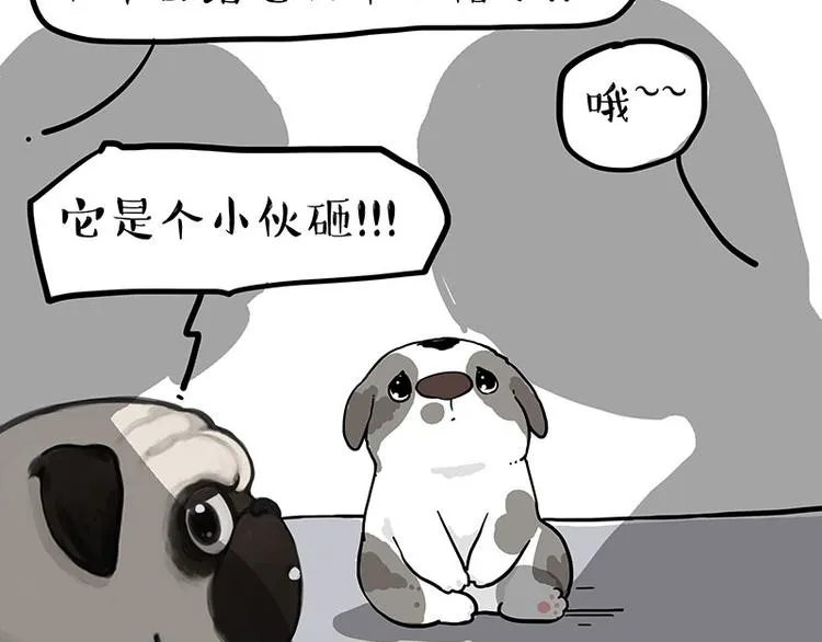 吾皇巴扎黑图片漫画,第269话 跟我回家吧2图