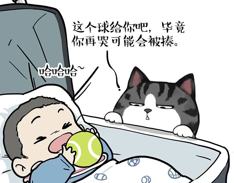 吾皇巴扎黑漫画,第377话 谢谢小猫咪5图