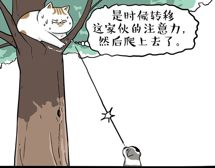 第270话 胖老猫你个大骗子！3