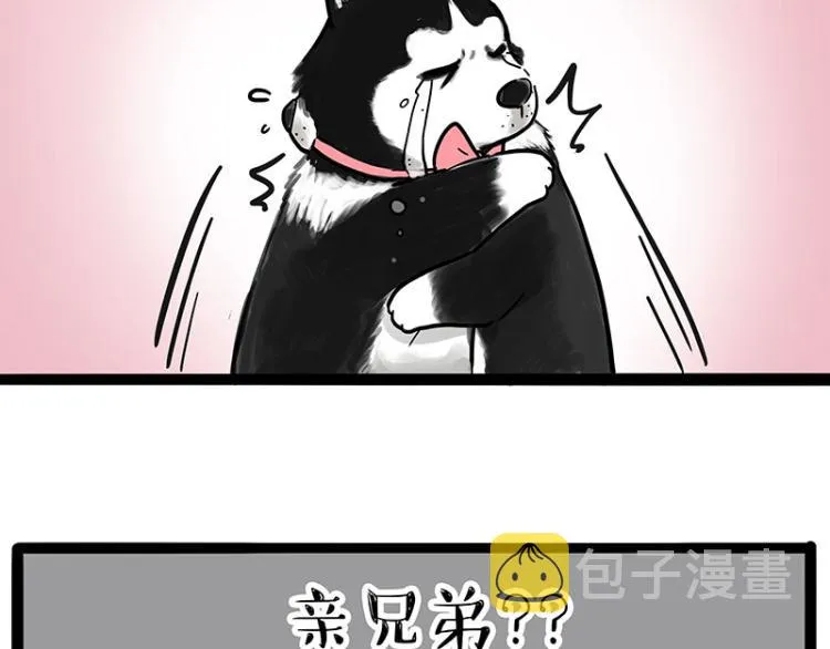 吾皇巴扎黑环游世界盲盒漫画,第287话 真假牛能？！4图