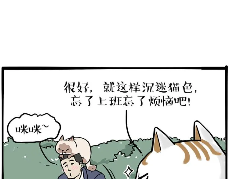 第290话 凶恶猫猫组织2