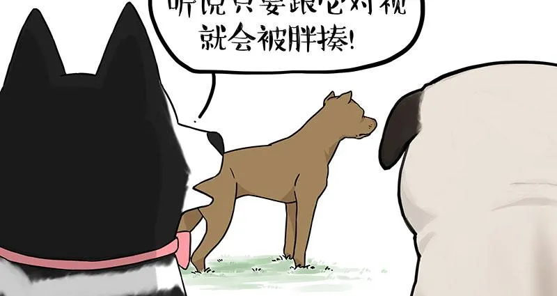 吾皇巴扎黑漫画,第375话 偶遇恶犬1图