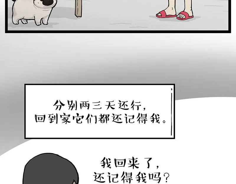 吾皇巴扎黑漫画,第281话 飞得更高，社死更惨4图