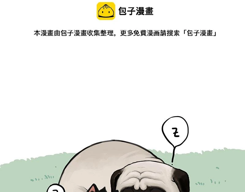 吾皇巴扎黑漫画,第370话 你就宠它吧1图