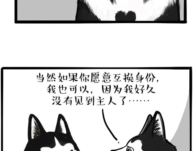 吾皇巴扎黑漫画,第289话 吹牛狗真牛4图