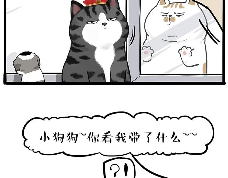 吾皇巴扎黑图片漫画,第269话 跟我回家吧4图