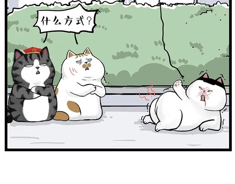 第277话 猫斗猫1