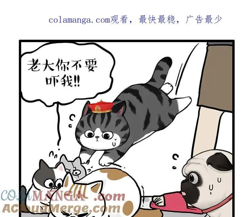 吾皇巴扎黑漫画,第440话 不要开这种玩笑1图