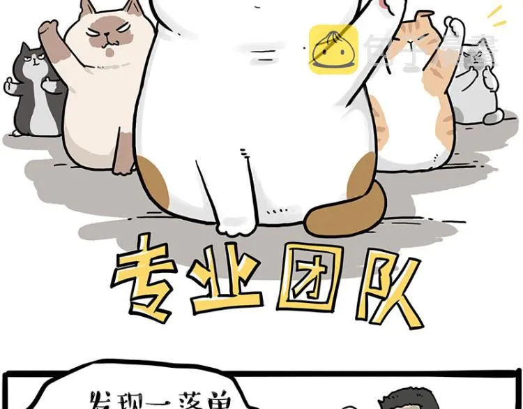 吾皇巴扎黑漫画,第290话 凶恶猫猫组织2图