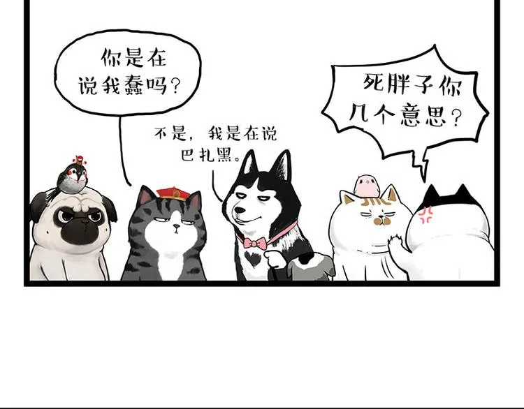 吾皇巴扎黑图片漫画,第269话 跟我回家吧2图