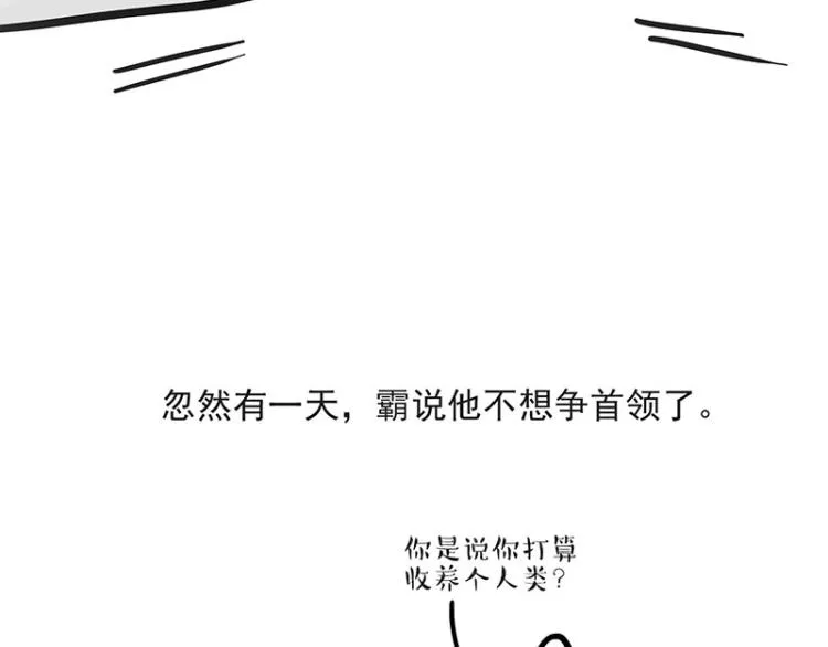 吾皇巴扎黑音乐盲盒漫画,第291话 好兄弟，一辈子5图