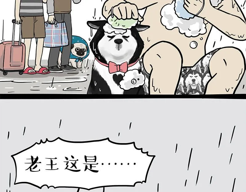 吾皇巴扎黑经典语录漫画,第306话 不辛苦，命苦1图