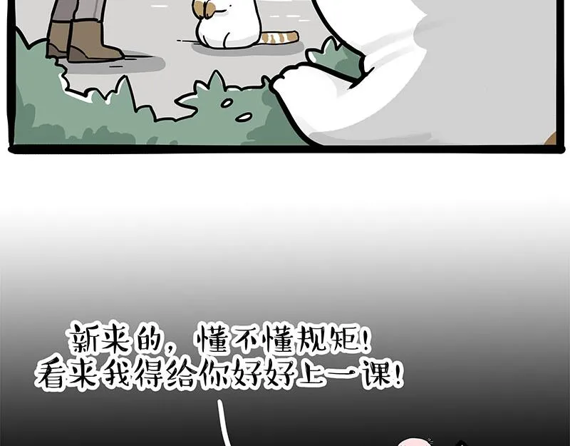 吾皇巴扎黑漫画,第308话 恶霸最大！4图