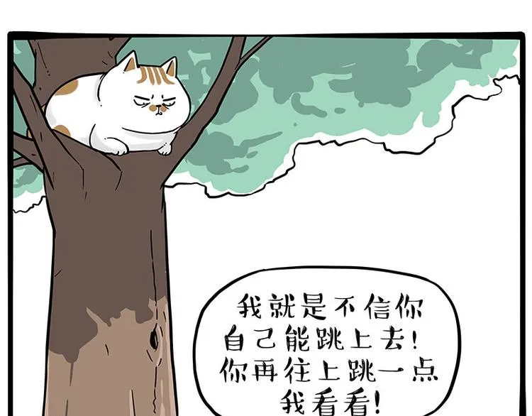 吾皇巴扎黑漫画,第271话 进击的流浪猫！1图