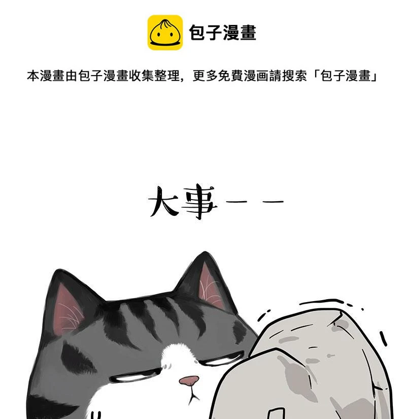 吾皇巴扎黑漫画,第367话 都不是事儿1图