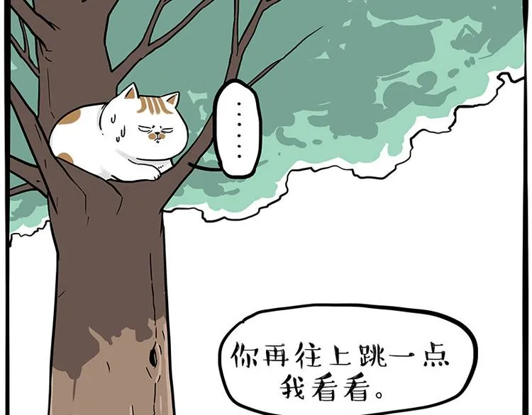 第270话 胖老猫你个大骗子！3